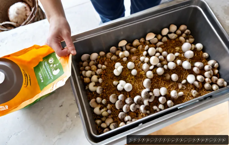 Emballer les champignons de façon durable : matériaux, conservation et coût pour les professionnels 3 버섯 패키징의 지속 가능성 관련 이미지 1